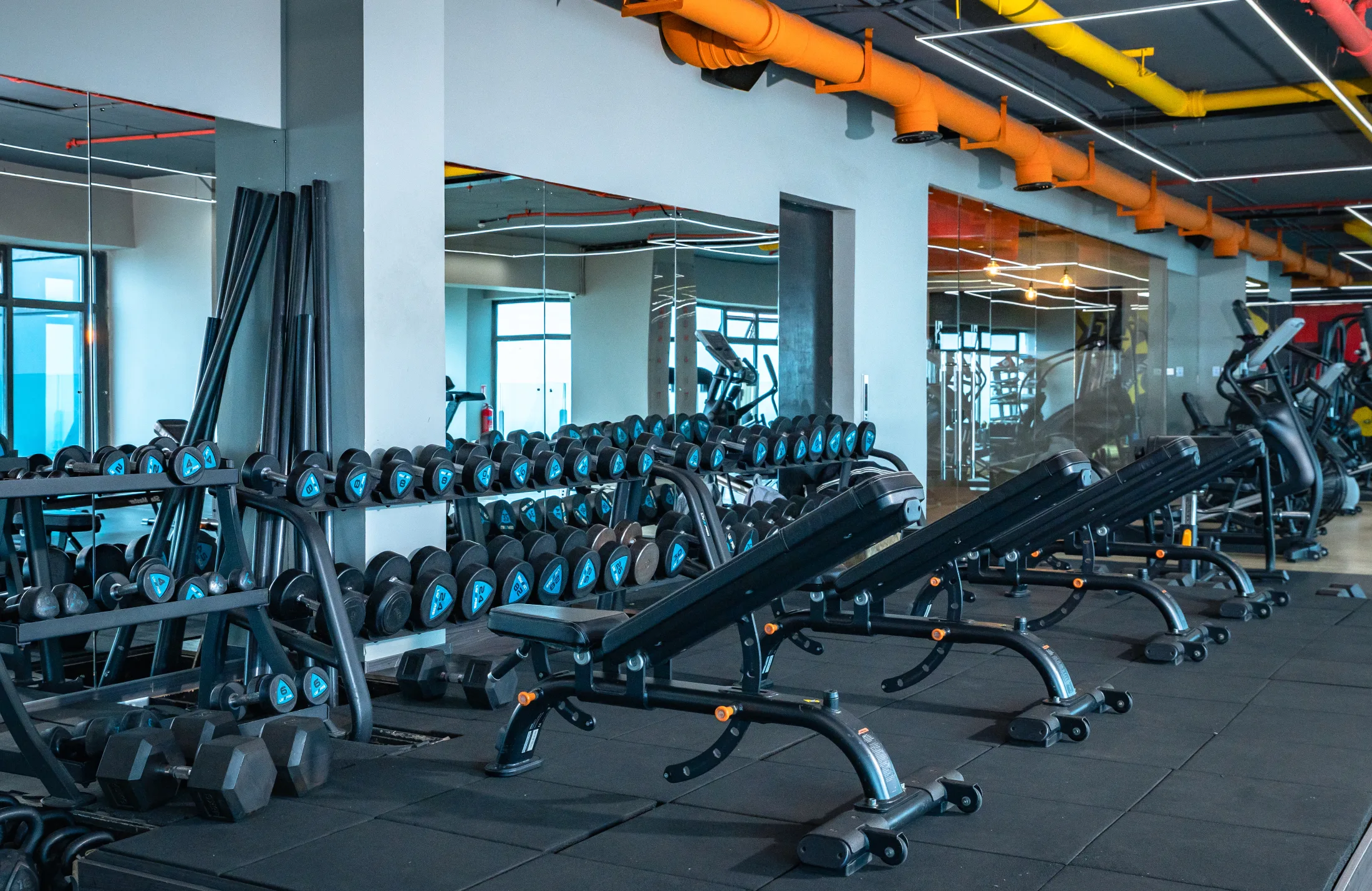 Free weights